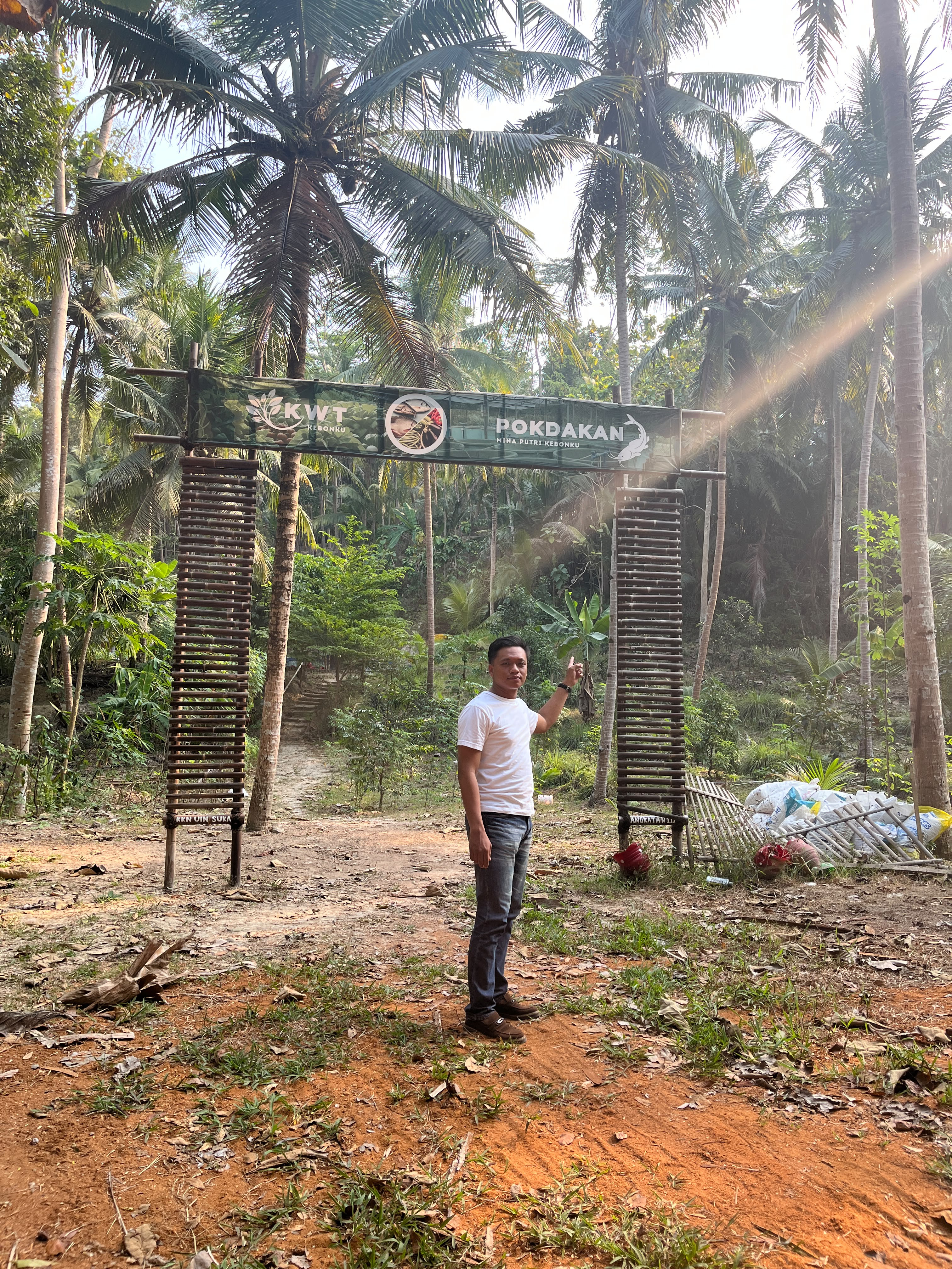 Kulon Progo Coconut Grove